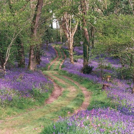 Fox & Hounds Country Hotel Chulmleigh Esterno foto