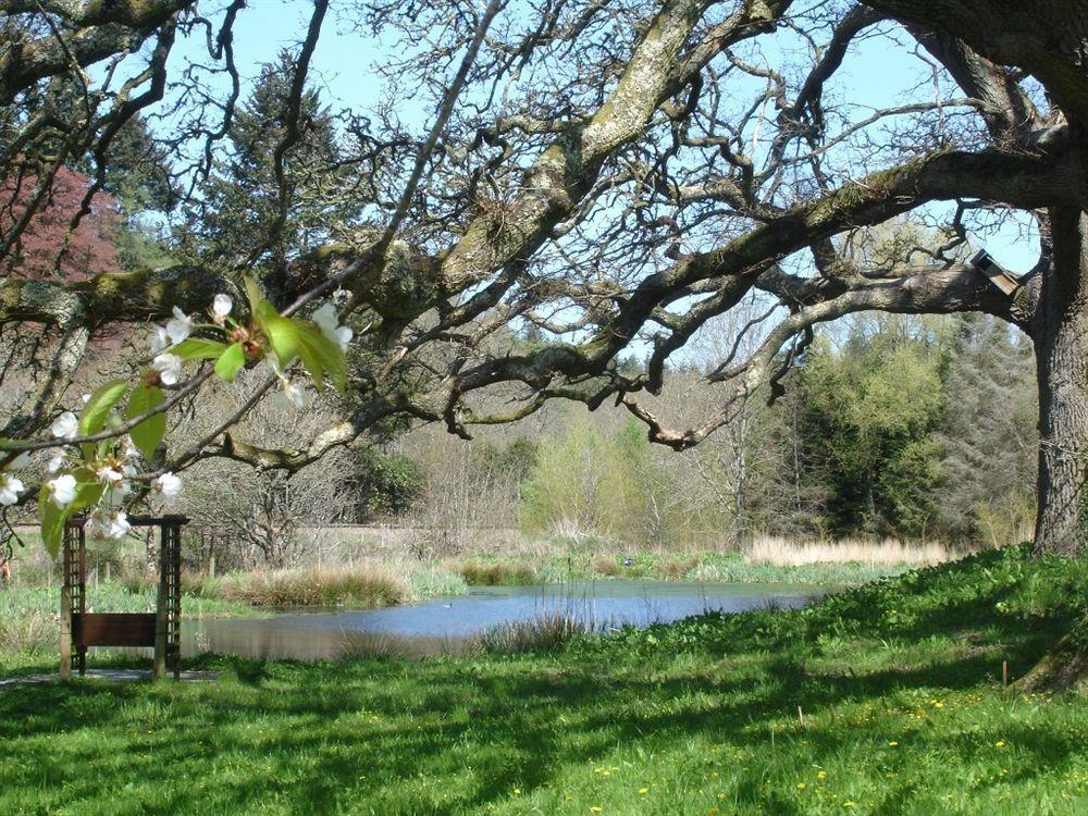 Fox & Hounds Country Hotel Chulmleigh Esterno foto