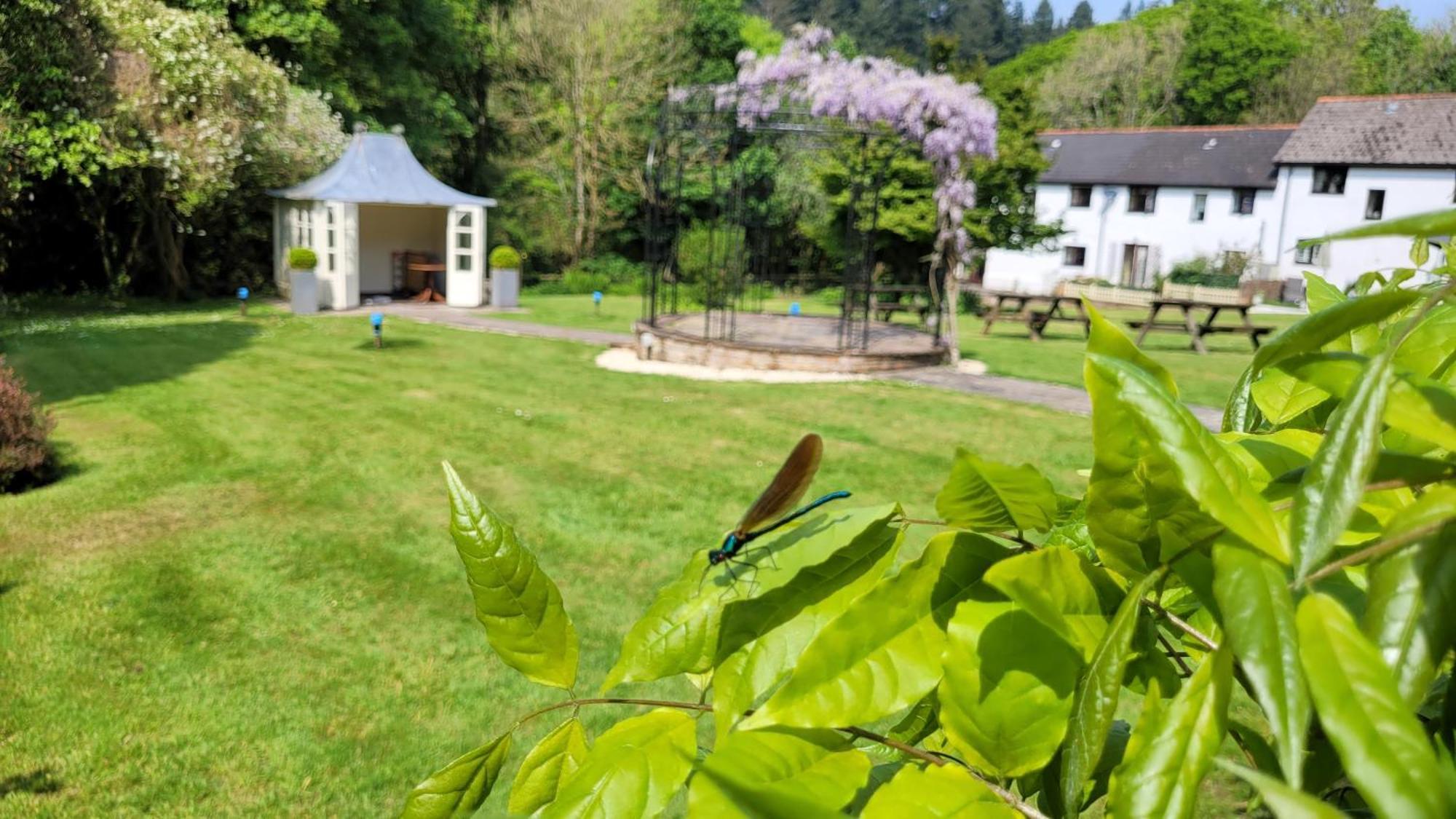 Fox & Hounds Country Hotel Chulmleigh Esterno foto